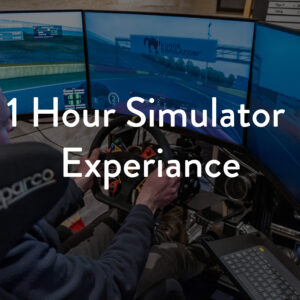 Simulator Experience