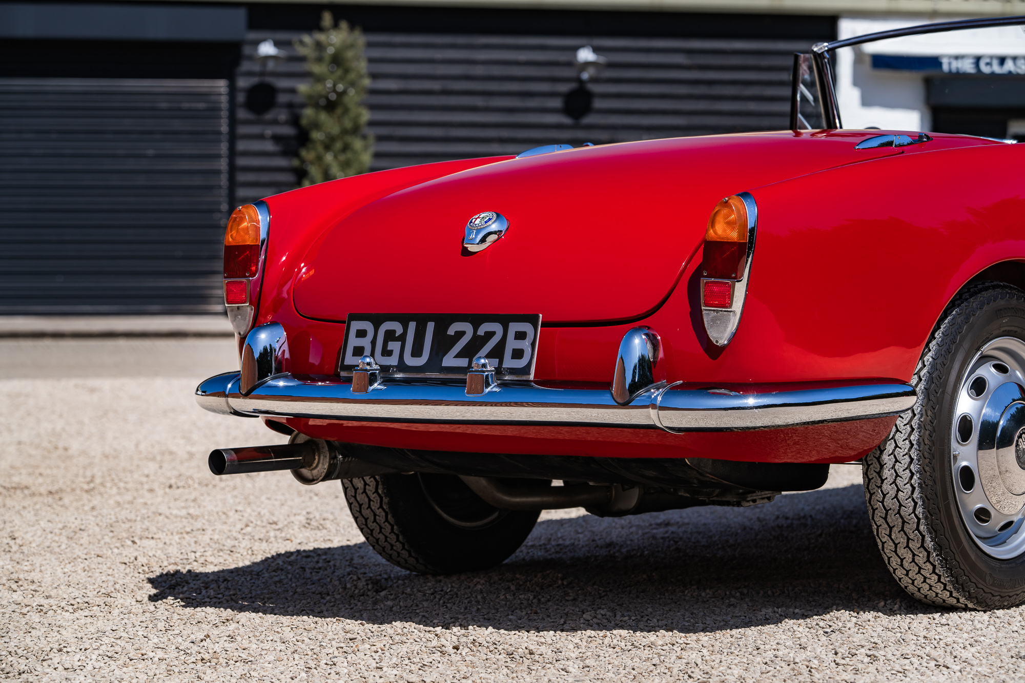 Alfa Romeo Giulia 1600 Spider-P16