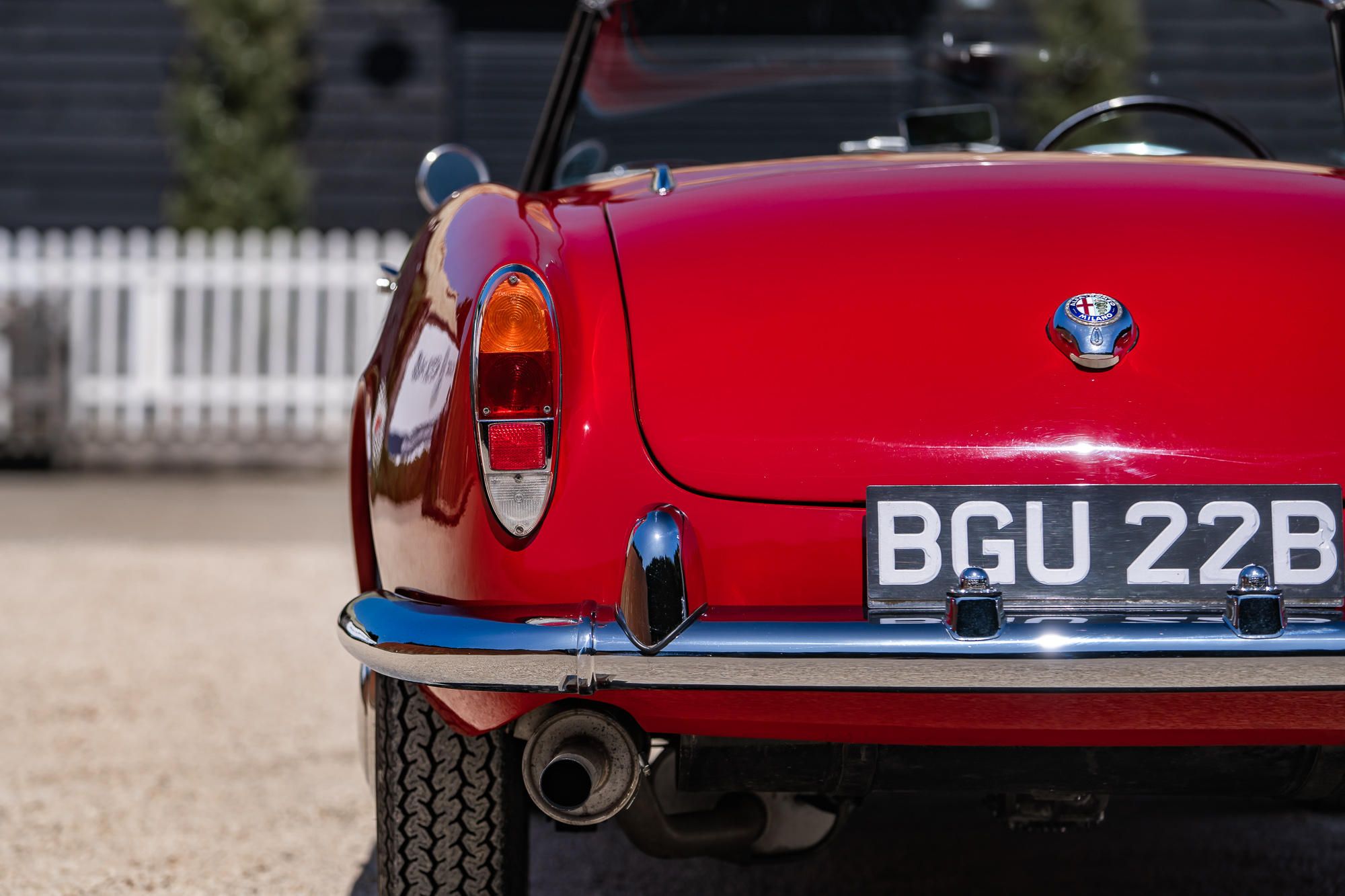 Alfa Romeo Giulia 1600 Spider-P19