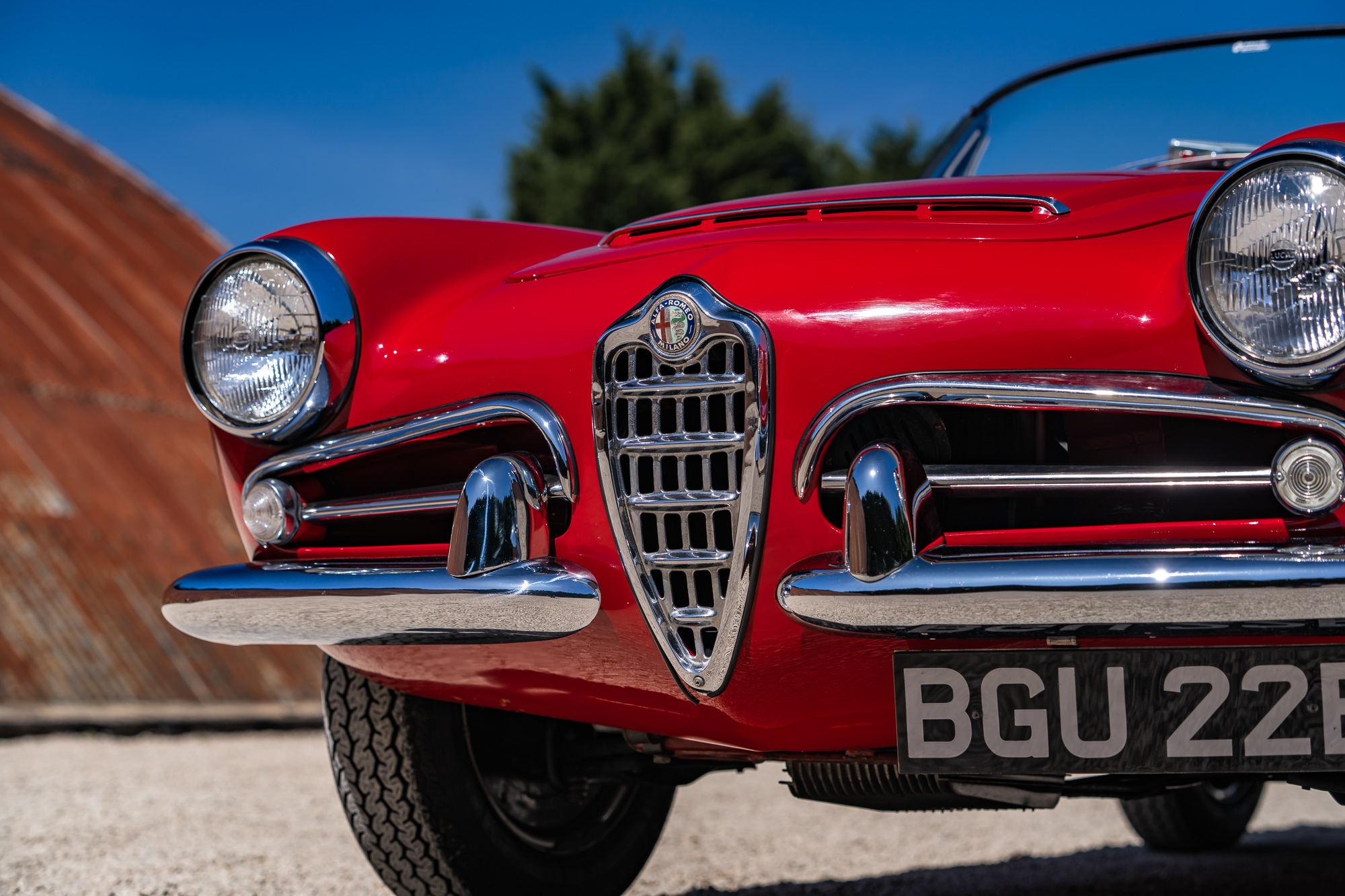 Alfa Romeo Giulia 1600 Spider-P20