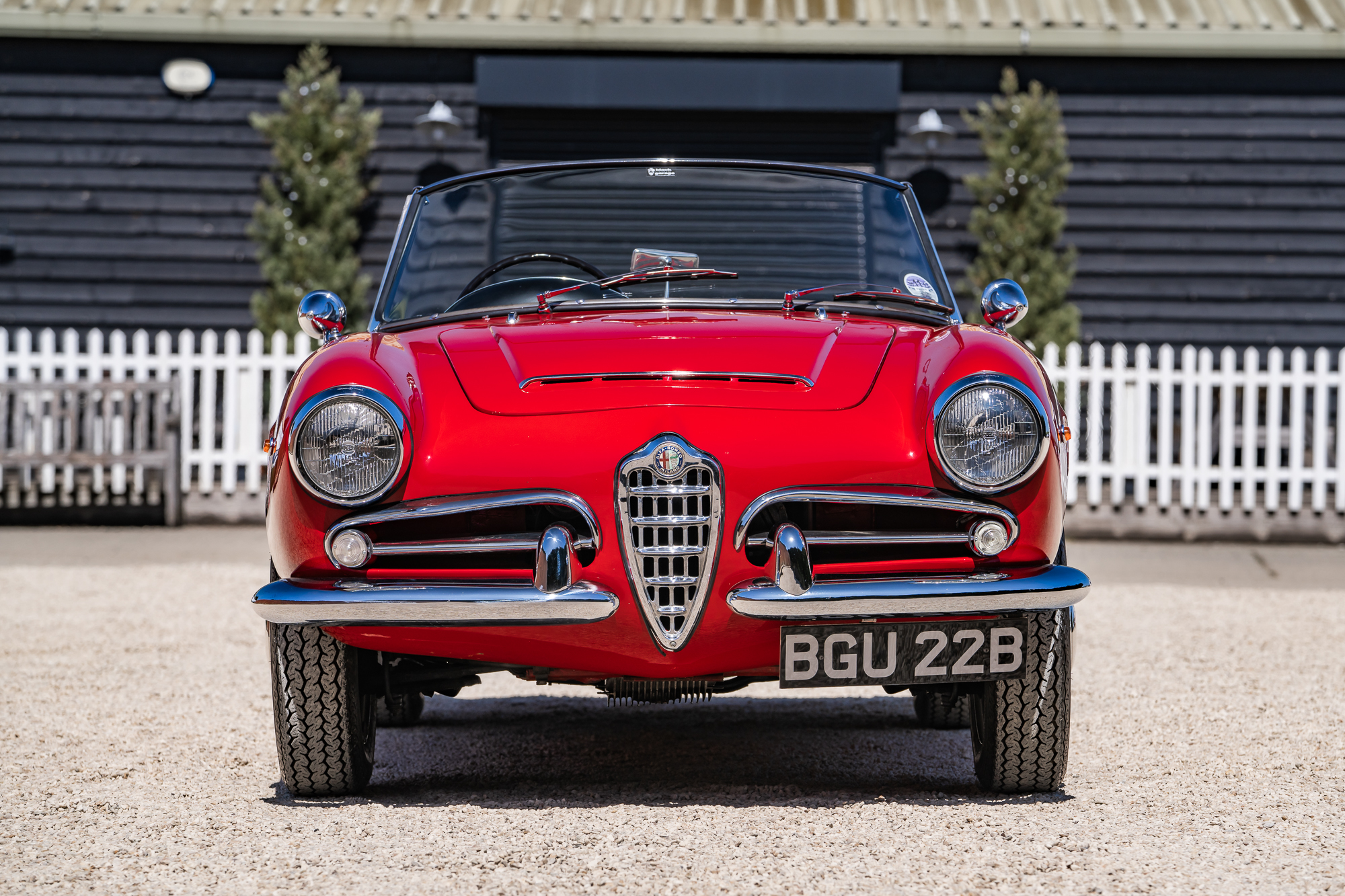 Alfa Romeo Giulia 1600 Spider-P7