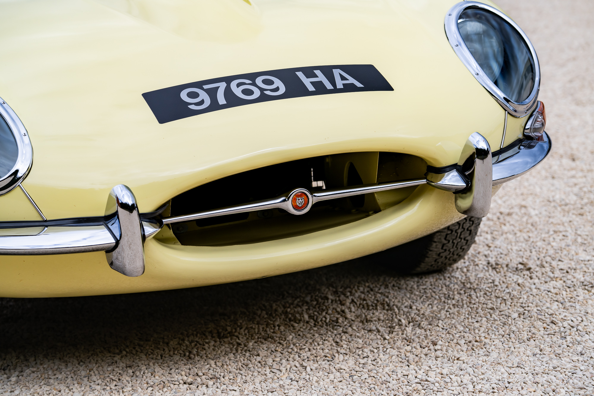 Jaguar E-Type-P18