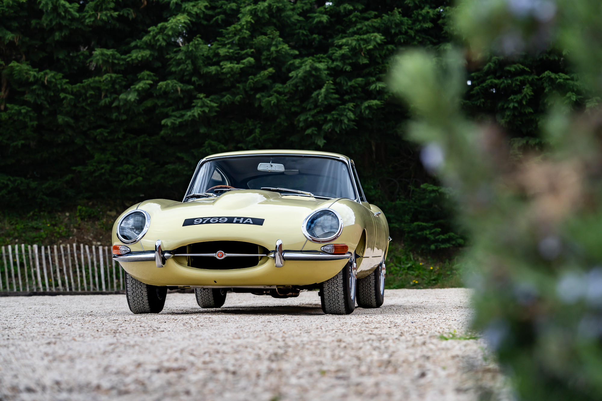 Jaguar E-Type-P9