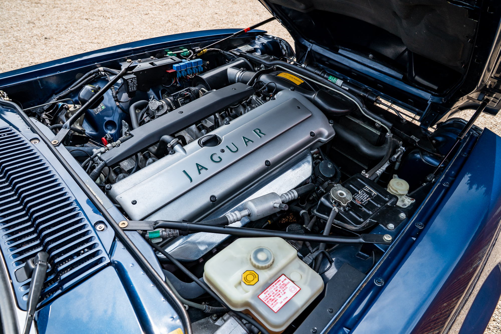Jaguar XJS-P34